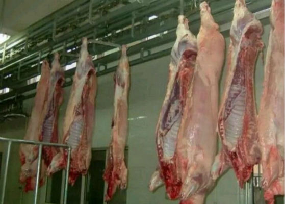 China Cadena de producción partida de carne de aves de corral del cerdo sistema de control del PLC del equipo del matadero  proveedor