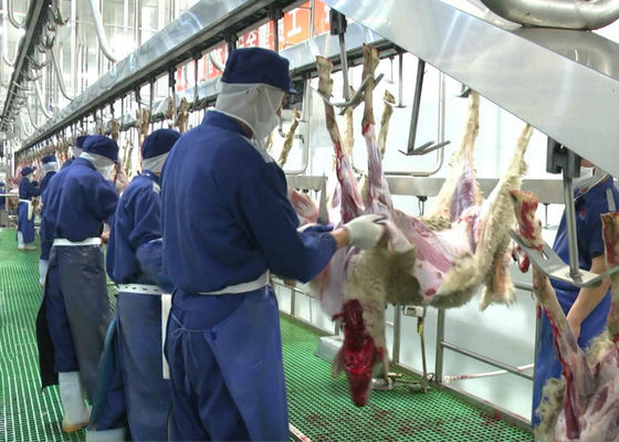 China Cadena de producción partida de carne del cordero de la cabra matanza que transporta el tipo de proceso entero proveedor