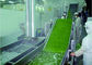 Cadena de producción vegetal inteligente de la fruta sistemas de transportador de empaquetado automáticos proveedor