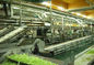 Línea de la producción alimentaria de la jalea, eficacia alta de la empaquetadora del producto alimenticio proveedor