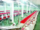 Cadena de producción partida de carne de aves de corral del cerdo sistema de control del PLC del equipo del matadero  proveedor