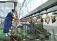 Cadena de producción partida de carne del cordero de la cabra matanza que transporta el tipo de proceso entero proveedor