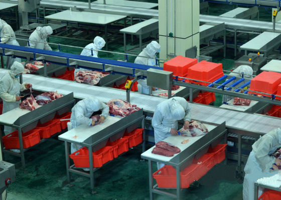 China La cadena de producción partida de carne de la carne de vaca/la línea de transformación 100-300 ganado por hora apresura proveedor