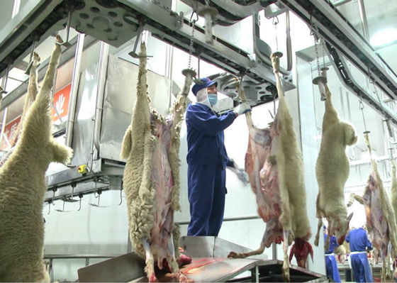 China Cadena de producción partida de carne del cordero, cadena de producción industrial transformación posterior proveedor