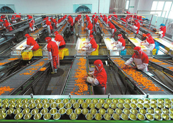 China Cadena de producción plástica de comida enlatada de la taza, equipo de proceso de fruta y verdura proveedor