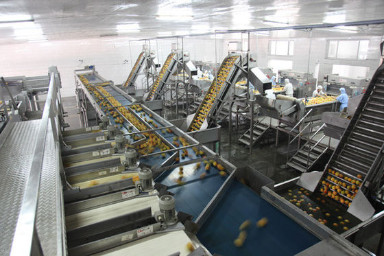 China Cadena de producción de la lata de la comida 100-300 latas completamente semi automáticas por velocidad de la hora proveedor