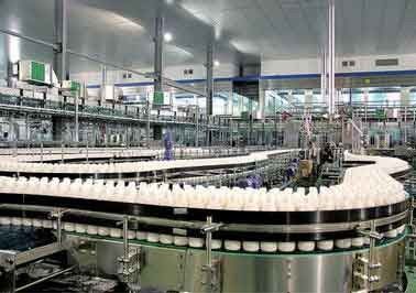 China ACARICIE la bebida de la botella que hace la máquina produciendo el cacahuete de la nuez para ordeñar/el jugo de maíz proveedor