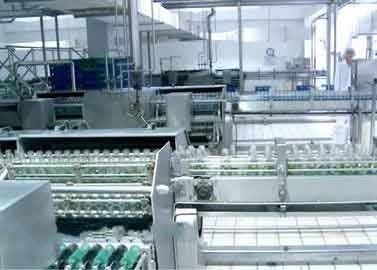 China El vidrio embotelló la cadena de producción de leche de la nuez/del cacahuete del equipo de proceso de la bebida proveedor