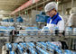 Cadena de producción de lechería de las bacterias del ácido láctico equipo de fabricación del yogur/máquina proveedor