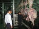 La cadena de producción partida de carne de la carne de vaca/la línea de transformación 100-300 ganado por hora apresura proveedor